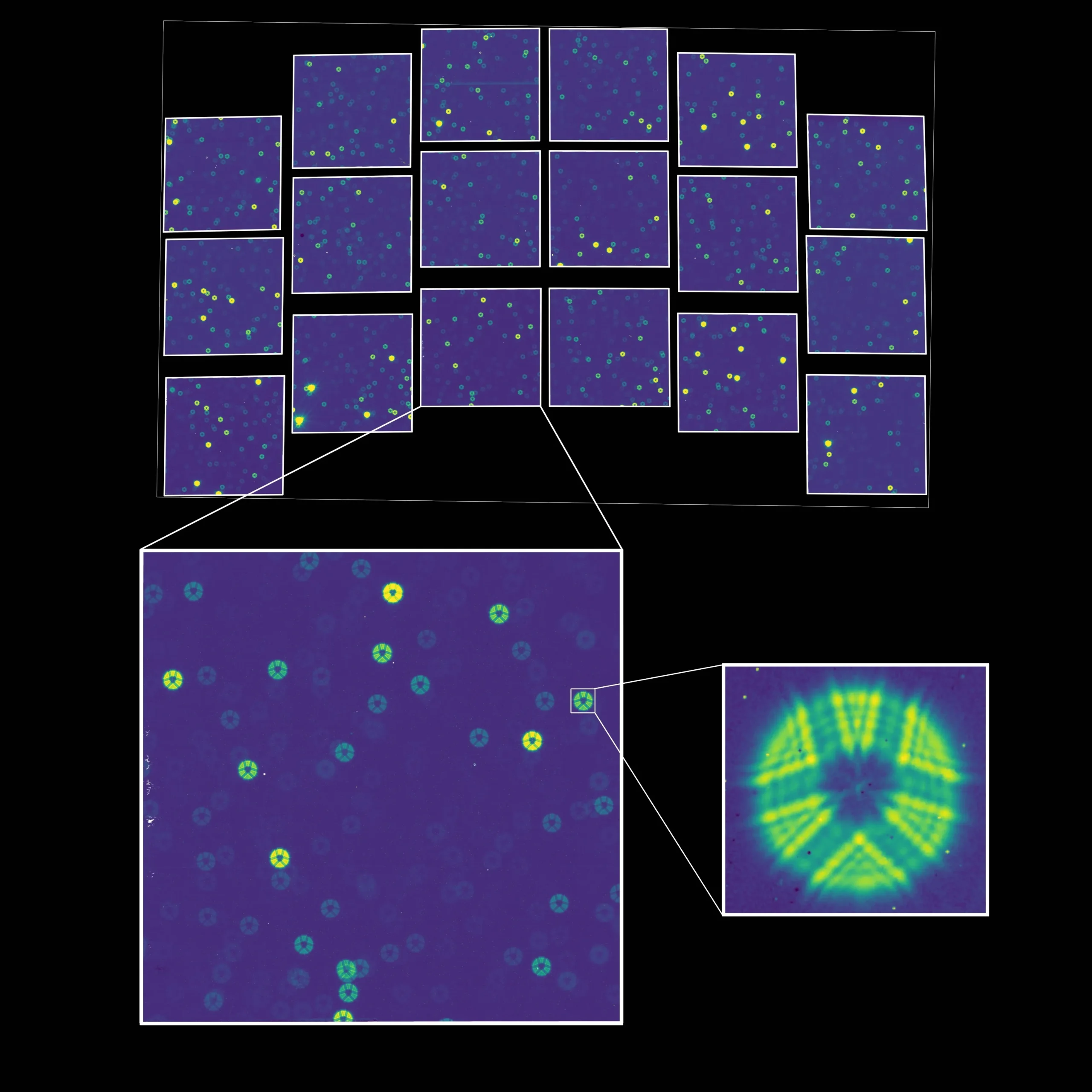 Roman Space Telescope First Light Image